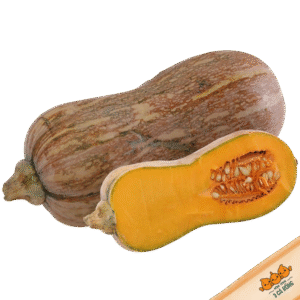 Bí đỏ hồ lô