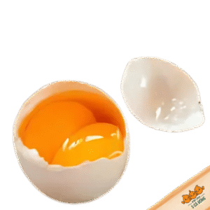Trứng vịt ta 2 lòng đỏ