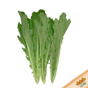 Cải mèo Tam Đảo